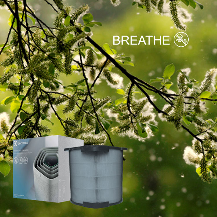 Breathe360 Filter Electrolux Pure A9