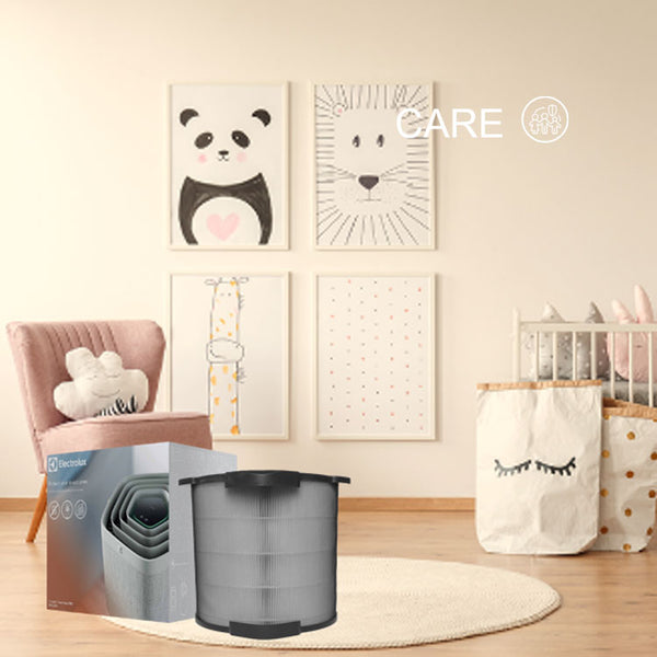 Care360 Filter Electrolux Pure A9