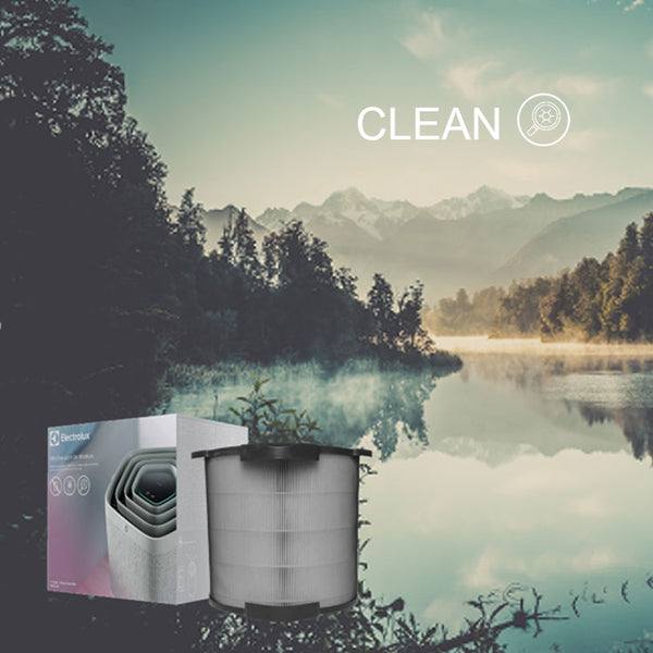Clean360 Filter Electrolux Pure A9